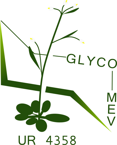 Laboratoire GlycoMEV